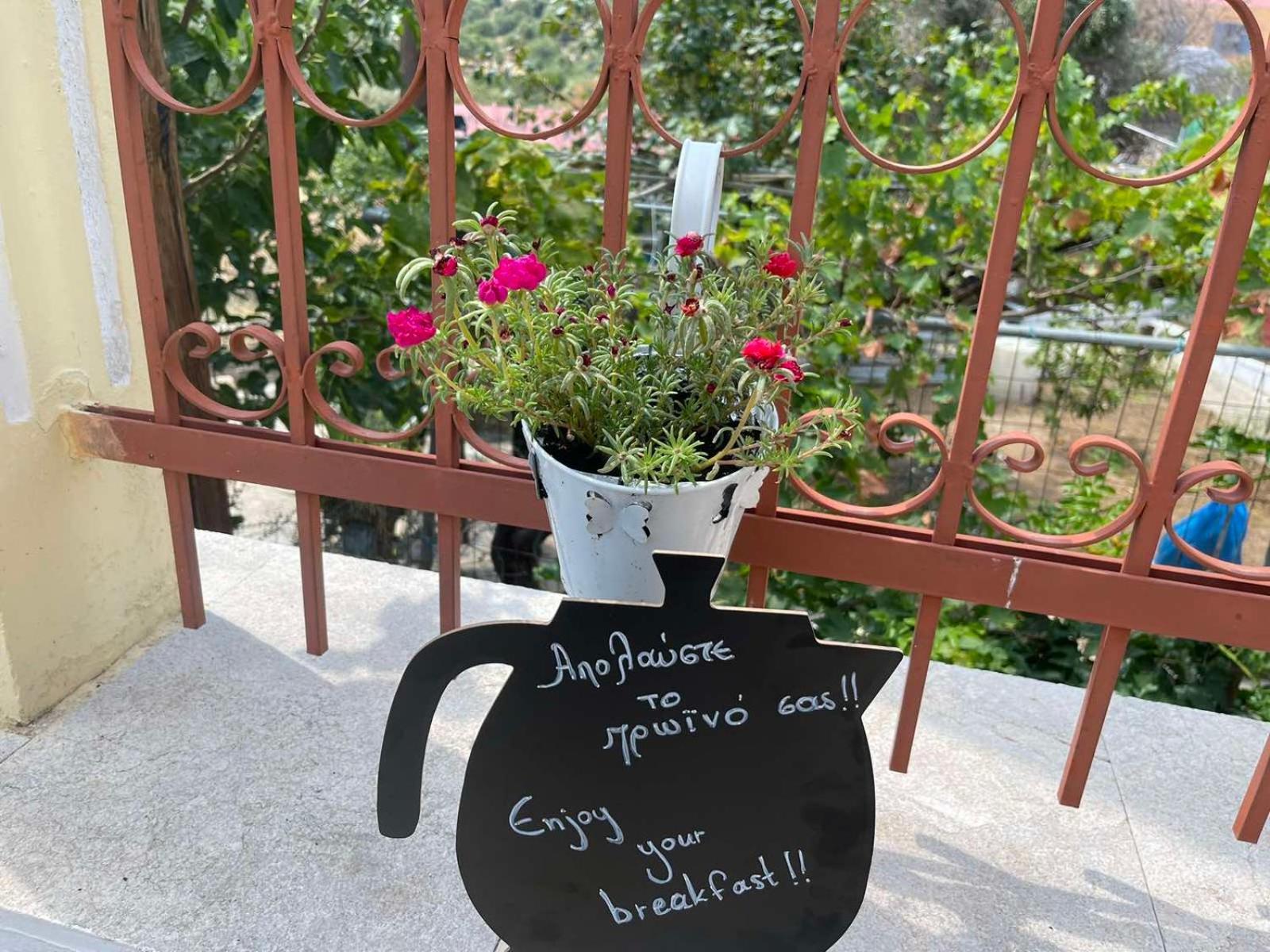 Villa Pinotsi Symi Bagian luar foto